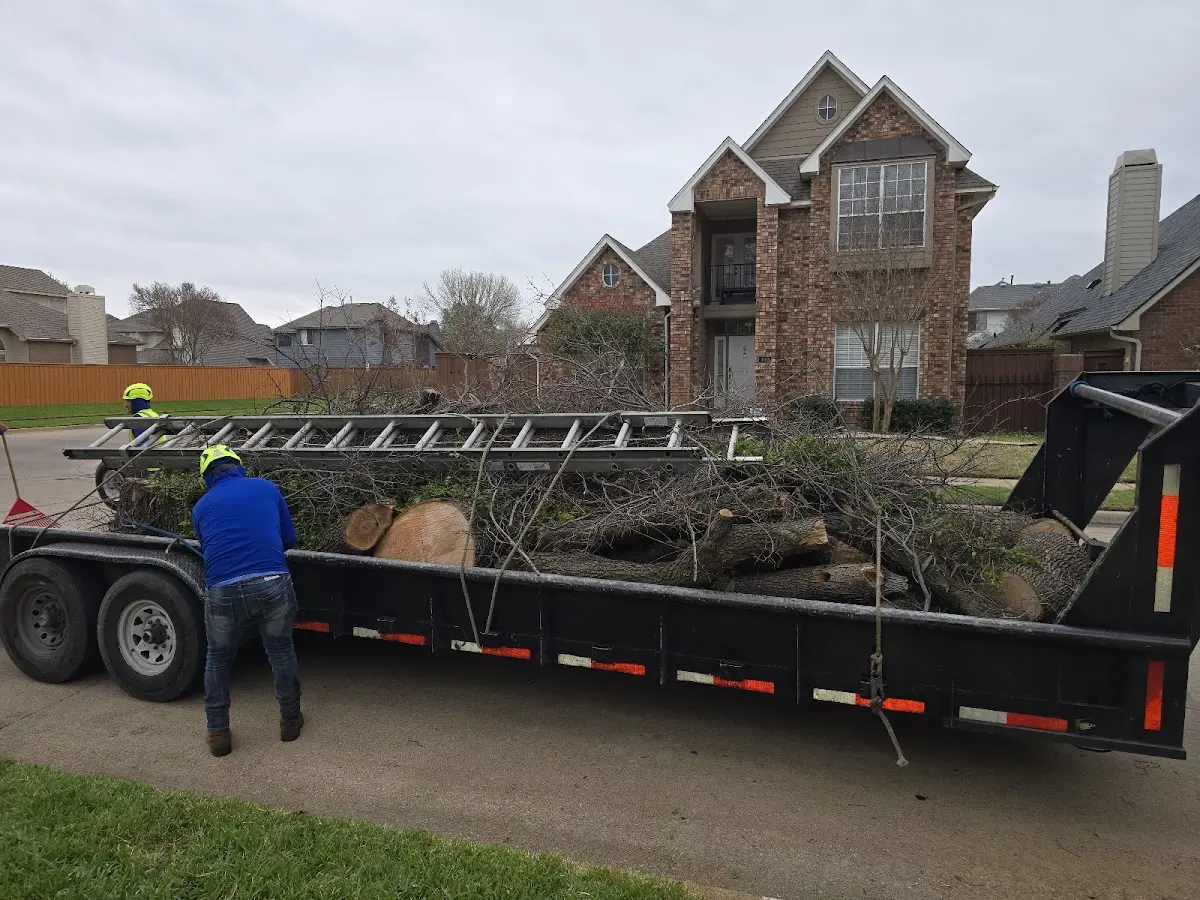 Expert Lot Clearing with proper safety equipment in Lyndon